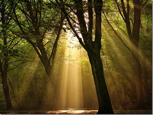 4375536225_62b3abc40c