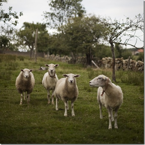 5299761980_1b27b85e70_b