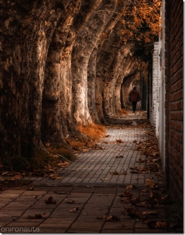 3940911420_de766f6d65_o