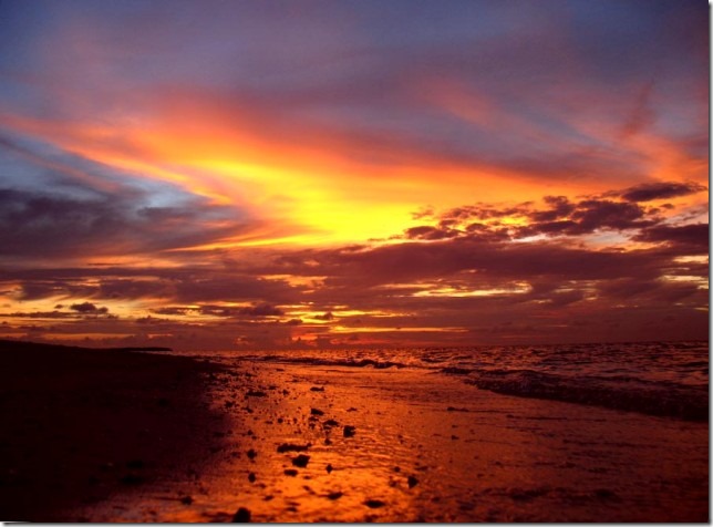 2930761305_fb2ef3a845_o