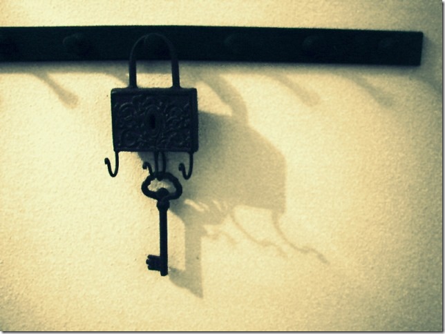 4073697039_e971e36007_o