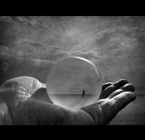 4040360452_800d5bcfa2_o